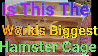 Image result for Biggest Hamster Cage Ever