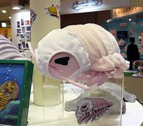 Image result for Isopod Costume