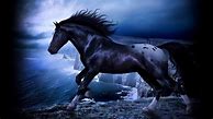 Image result for Aesthetic Horse Background