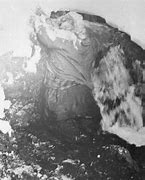 Image result for Dyatlov Pass Incident Skull
