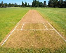 Image result for Cricket Pitch Background