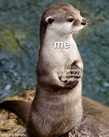 Image result for Cute Baby Otter Memes