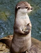 Image result for Otter Scientist Meme