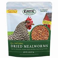 Image result for Super Pet Dried Mealworms