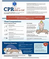 Image result for Pet CPR Certification