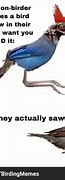 Image result for Bird People Memes
