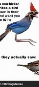 Image result for Bird People Memes