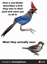 Image result for Wrench Bird Meme
