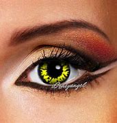 Image result for Wolf Contact Lenses