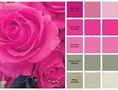 Image result for Dusty Rose Color Palette PNG