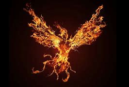 Image result for 2560X1440 Galaxy Wallpapers Phoenix