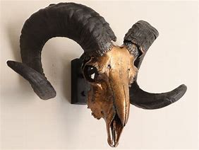 Image result for Ram Skull Decor