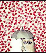 Image result for Grumpy Cat Rain