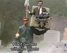 Image result for Office Plant Meme