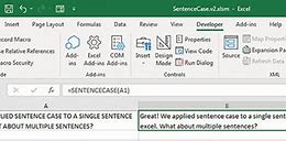 Image result for Excel Sentence Case