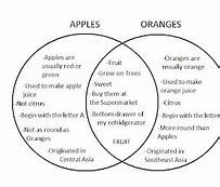 Image result for VINN Diagram of Apple and Orange