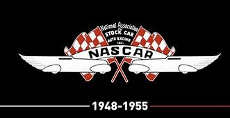 Image result for Fictional NASCAR Logo