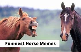 Image result for Dark Face Meme Horse