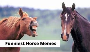 Image result for Funny Red Horse Memes Tagalog