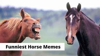 Image result for Funny Red Horse Memes Tagalog