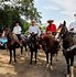 Image result for Mexican Ranch Horses