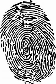 Image result for Fingerprint Clip Art Transparent