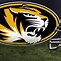 Image result for Missouri Tigers Wall Art