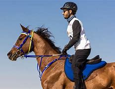 Image result for Horse Racing Picture From Today in Dubai