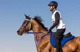 Image result for Dubai Horse Racing