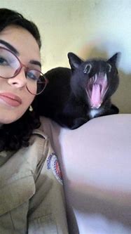 Image result for Wide Mouth Cat Meme