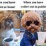 Image result for How Coffee Works Meme