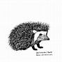 Image result for Porcupine Simple
