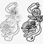 Image result for Pocket Watch Line Drawing