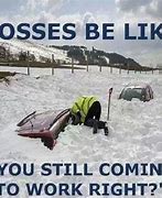 Image result for Winter Storm Funny
