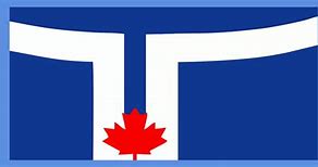 Image result for City of Toronto Flag