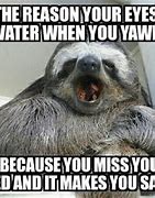 Image result for Sloth Monday Meme