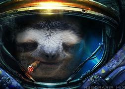 Image result for Space Sloth Wallpaper HD