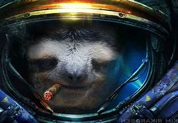 Image result for Space Sloth Wallpaper Deskstop
