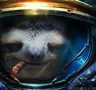 Image result for Sloth Galaxy Wallpaper