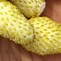 Image result for Fragaria vesca Alpine Yellow