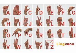 Image result for Learn Sign Language Alphabet