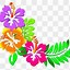 Image result for Watercolor Hibiscus Clip Art