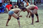 Image result for Youth Wrestling Kushti