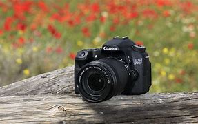 Image result for Photo Sampkle Canon 70D