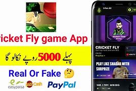 Image result for Cricket Fly Game