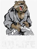 Image result for Brazilian Jiu Jitsu Bear