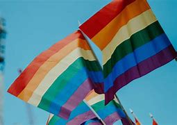 Image result for LGBTQ Proud Ally