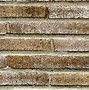 Image result for Brick House Texture