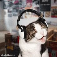 Image result for Cat Listening to Music