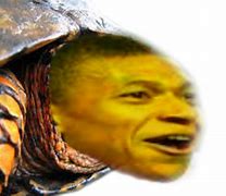 Image result for Talking to Turtle Meme